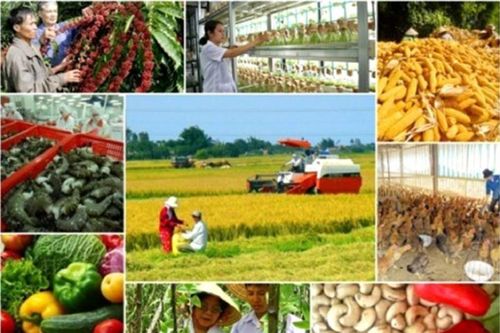 Năm 2022: Tổng giá trị sản xuất nông lâm ngư nghiệp tăng 3,36%
