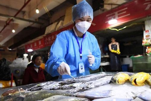 Trung Quốc hủy quy trình xét nghiệm COVID đối với thủy sản nhập khẩu