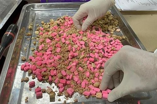 Qua soi chiếu hàng hóa, phát hiện nhiều lô hàng chứa ma túy