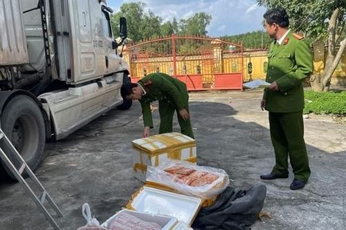 Tạm giữ container chở hàng trăm thùng xốp chứa thịt động vật không rõ nguồn gốc