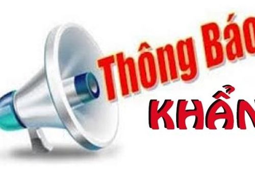 Tìm bị hại mua đất dự án của đối tượng Nguyễn Thị Vân Anh