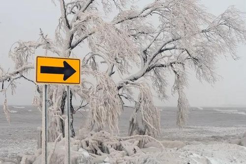 Buffalo năm nào cũng lạnh, vì sao số người chết lần này cao đỉnh điểm