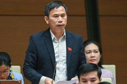 Chính phủ đã bám sát tình hình thực tiễn để có giải pháp linh hoạt, phù hợp, sáng tạo, hiệu quả