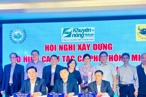 Bình Điền xây dựng mô hình 'canh tác cà phê thông minh' cho 5 tỉnh Tây Nguyên