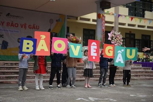 Học sinh tiểu học Phụng Thượng thi hội thao chung tay bảo vệ gấu