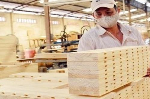 Năm 2022, ngành lâm nghiệp xuất siêu hơn 14 tỷ USD