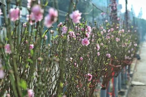 Thời tiết Tết Dương lịch 2023: Bắc Bộ có nắng, nhiều nơi ở Trung Bộ có mưa