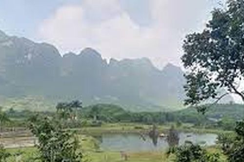 Chấm dứt hoạt động nhiều dự án 'ngủ' quá lâu ở Hòa Bình