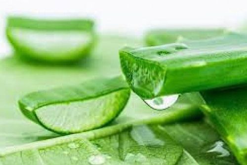 Bật mí cách làm mờ sẹo mụn với nguyên liệu sẵn có tại nhà