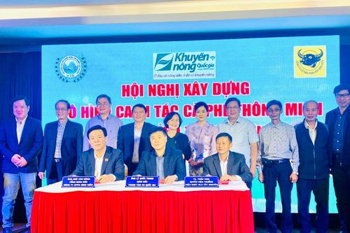 Bình Điền xây dựng mô hình canh tác cà phê thông minh cho 5 tỉnh Tây nguyên