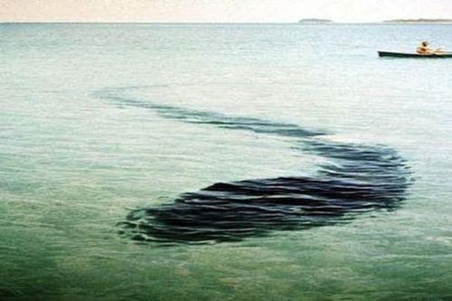 Chuyên gia 'vò đầu bứt tai' trước những hình ảnh bí ẩn nhất lịch sử