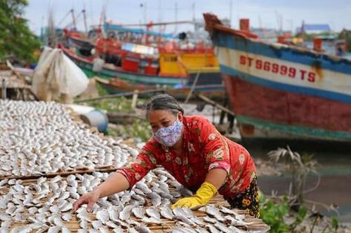 Làng cá khô xứ biển miền Tây cung ứng hàng trăm tấn hàng dịp Tết