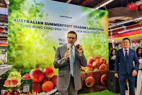 Giới thiệu hoa quả mùa hè Australia nhân kỷ niệm 50 năm thiết lập quan hệ ngoại giao Australia và Việt Nam