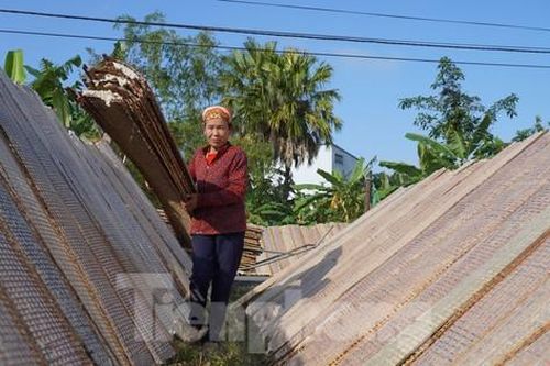 Tất bật ngày đêm làm bánh đa nem vụ Tết, kiếm tiền triệu mỗi ngày