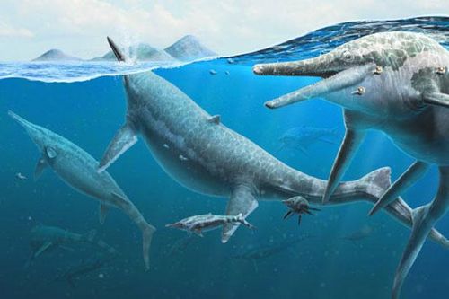 Sự thật về 'tử thần' gần mỏ hoang khiến 37 loài quái vật gục chết
