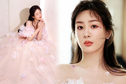 Dương Tử gặp biến cố lớn ngay ngày đầu năm mới, đến fan cũng không giúp được