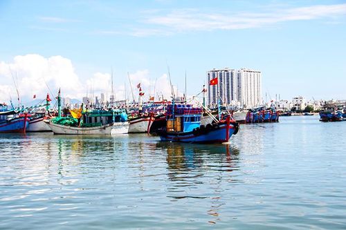 Đội tàu khai thác thủy sản trong toàn tỉnh có 3.198 chiếc