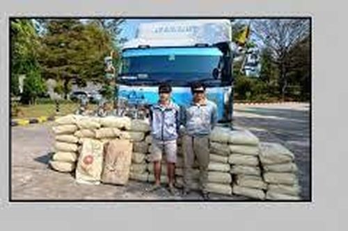 Myanmar thu giữ 1,35 tấn ma túy dạng caffeine