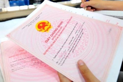 Mua sổ đỏ giả rồi đăng tin 'Kẹt tiền quá, mình phải 'gả' lô đất đẹp'!