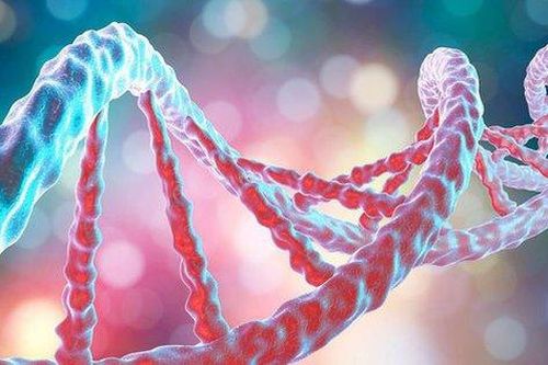 Các nhà khoa học phát hiện ra những gen mới, cho thấy con người vẫn đang tiến hóa!