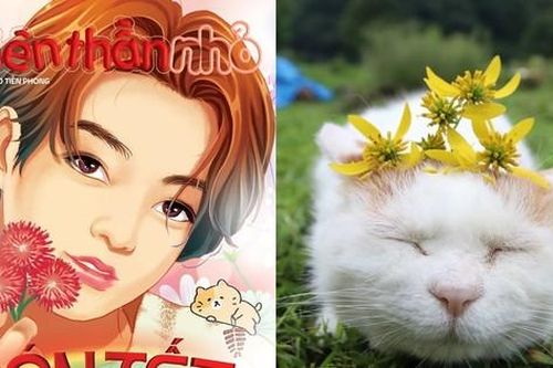 Cùng Thiên Thần Nhỏ đón Tết Quý Mão bằng cách làm quen với những chú mèo nổi tiếng