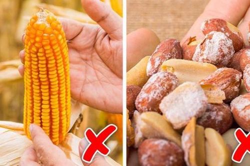 Loại bỏ ngay thực phẩm nấm mốc