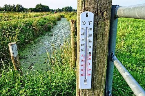 Báo động thời tiết cực đoan tại châu Âu, nắng nóng bất thường giữa mùa Đông