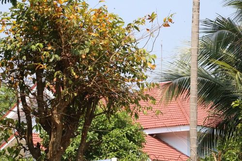 Kon Tum: Yêu cầu làm rõ hành vi làm đường sai quy hoạch để vợ nguyên Bí thư Thành ủy có nhà 4 mặt tiền