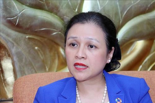 Đại sứ Nguyễn Phương Nga: Đối ngoại nhân dân phục vụ phát triển kinh tế - xã hội