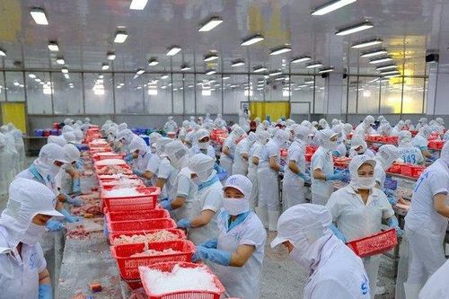 Việc Trung Quốc mở cửa trở lại sẽ là cú hích cho Việt Nam