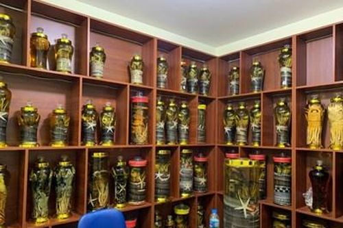 Cảnh giác ngộ độc rượu dịp cuối năm