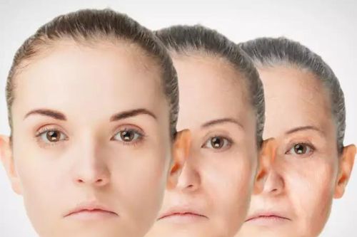 Ảnh hưởng của nước đối với tốc độ lão hóa