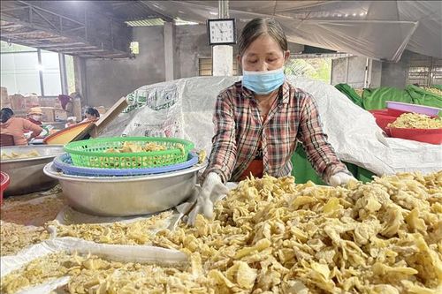 Làng nghề mứt gừng Mỹ Chánh tất bật vào vụ Tết