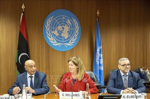 Ai Cập nỗ lực thúc đẩy ổn định chính trị ở Libya