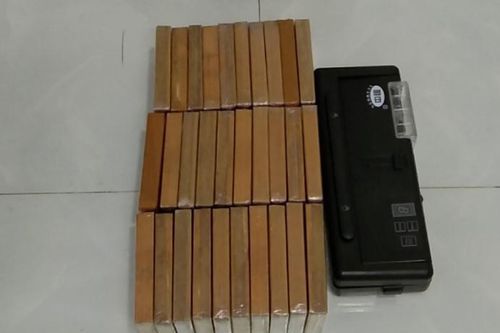 Triệt phá đường dây vận chuyển 50 bánh heroin và 5 kg ma túy từ Campuchia về Việt Nam