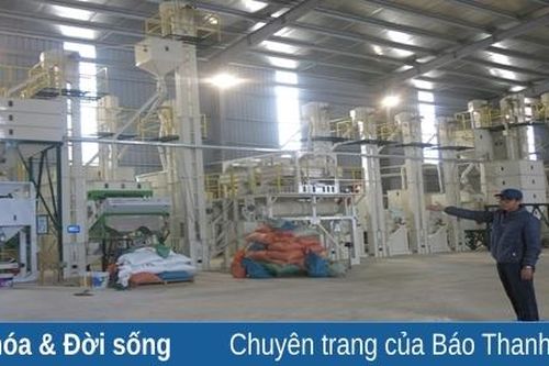 Công ty TNHH Thương mại Lựu Sướng: Đẩy mạnh liên kết tiêu thụ sản phẩm OCOP