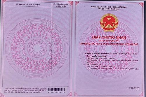 Liên tiếp phát hiện 'sổ đỏ' giả, cơ quan chuyên môn đề nghị Công an điều tra