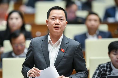 ĐBQH: Nông nghiệp mới là lĩnh vực Việt Nam 'đấu' với thế giới