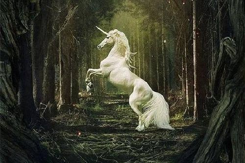 Bí ẩn những sinh vật huyền thoại gây tranh cãi không ngừng
