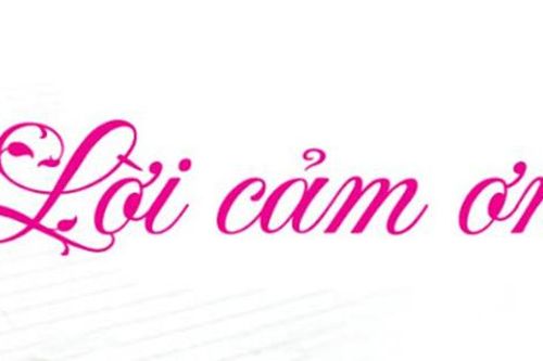 Lời cảm ơn
