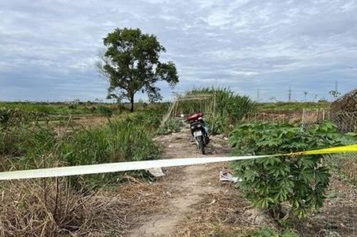 Để lại tin nhắn 'vĩnh biệt' cho bạn, người đàn ông đi ra ruộng rau muống rồi làm điều dại dột