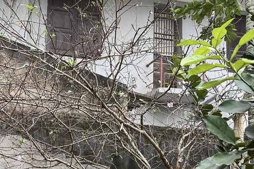 Tết xưa