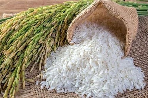 Thái Lan trên đà trở thành nước xuất khẩu gạo lớn thứ hai thế giới