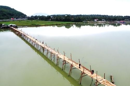 Dựng lại cầu gỗ Ông Cọp dài nhất Việt Nam