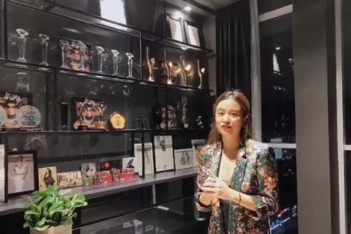 Căn hộ cao cấp của Hoàng Thùy Linh ngày cận Tết: Phòng trưng bày giải thưởng hoành tráng