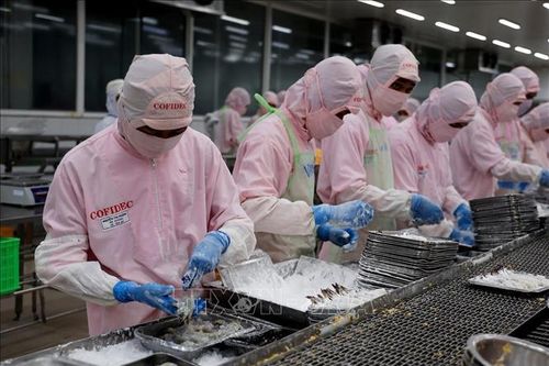 Truyền thông Lào đánh giá cao kinh nghiệm của Việt Nam trong phát triển kinh tế