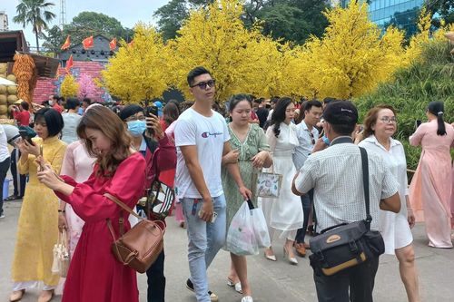 TP.HCM: Phố ông đồ rộn ràng sắc xuân, người dân háo hức chụp ảnh