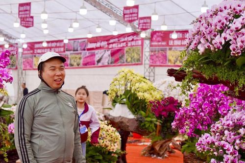 Cận cảnh lan Hồ Điệp bonsai giá trăm triệu thu hút người dân sắm chơi Tết