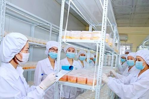 10 dấu ấn và sự kiện nổi bật của trường Cao đẳng Dược Trung ương Hải Dương năm 2022