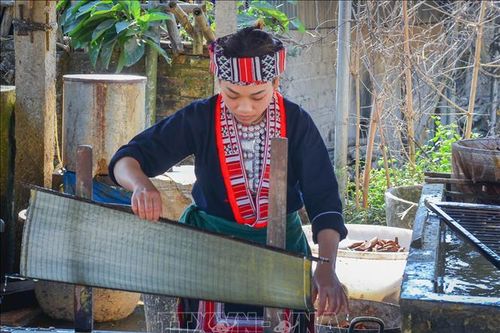 'Bí kíp' làm giấy bản truyền thống của người Dao
